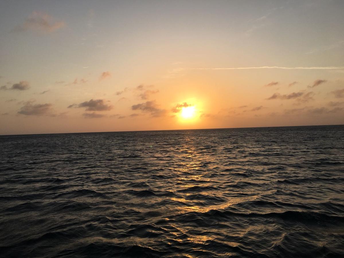 Aruba Harmony Apartments Oranjestad Zewnętrze zdjęcie