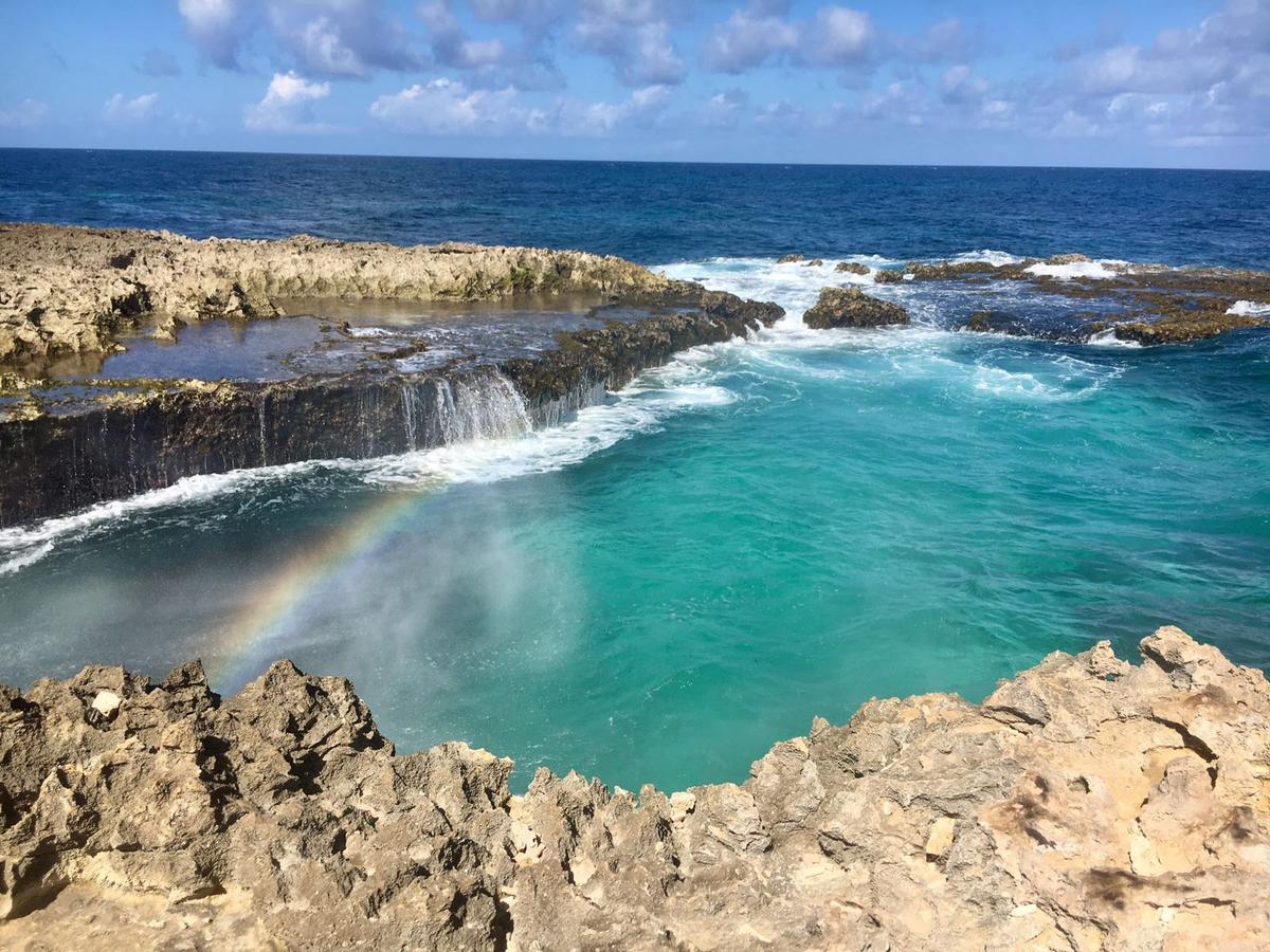Aruba Harmony Apartments Oranjestad Zewnętrze zdjęcie