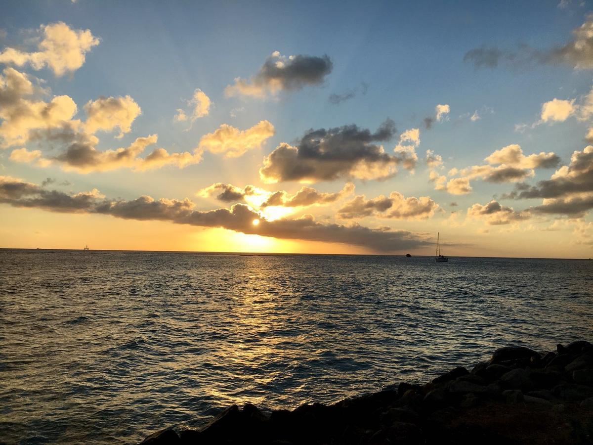 Aruba Harmony Apartments Oranjestad Zewnętrze zdjęcie
