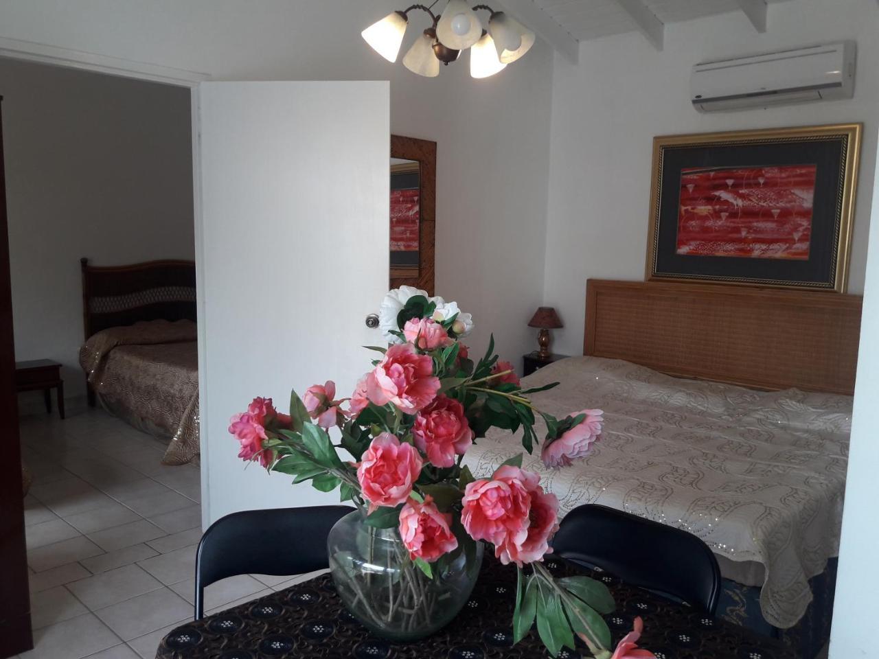 Aruba Harmony Apartments Oranjestad Zewnętrze zdjęcie
