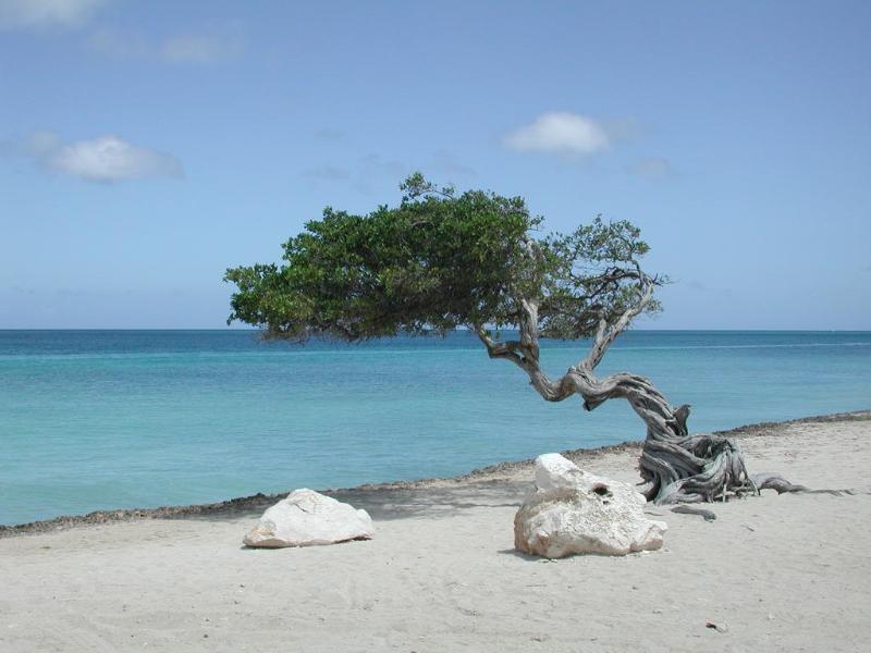 Aruba Harmony Apartments Oranjestad Zewnętrze zdjęcie